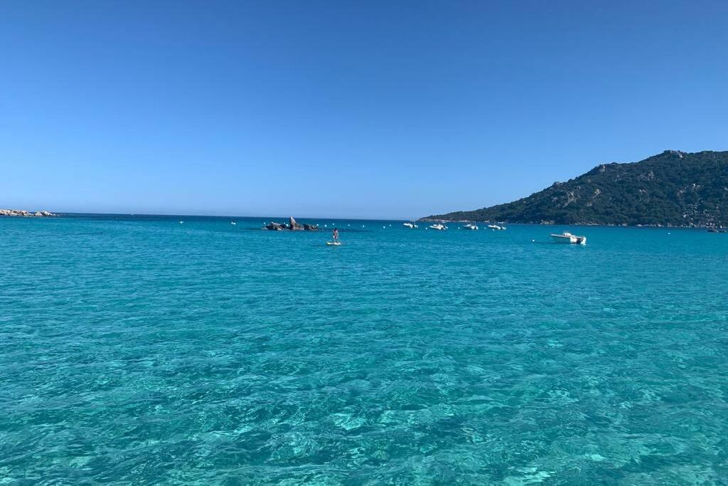 Belle Villa Piscine Avec Jardin A Santa Giulia Porto Vecchio Porto-Vecchio (Corsica) Exteriér fotografie