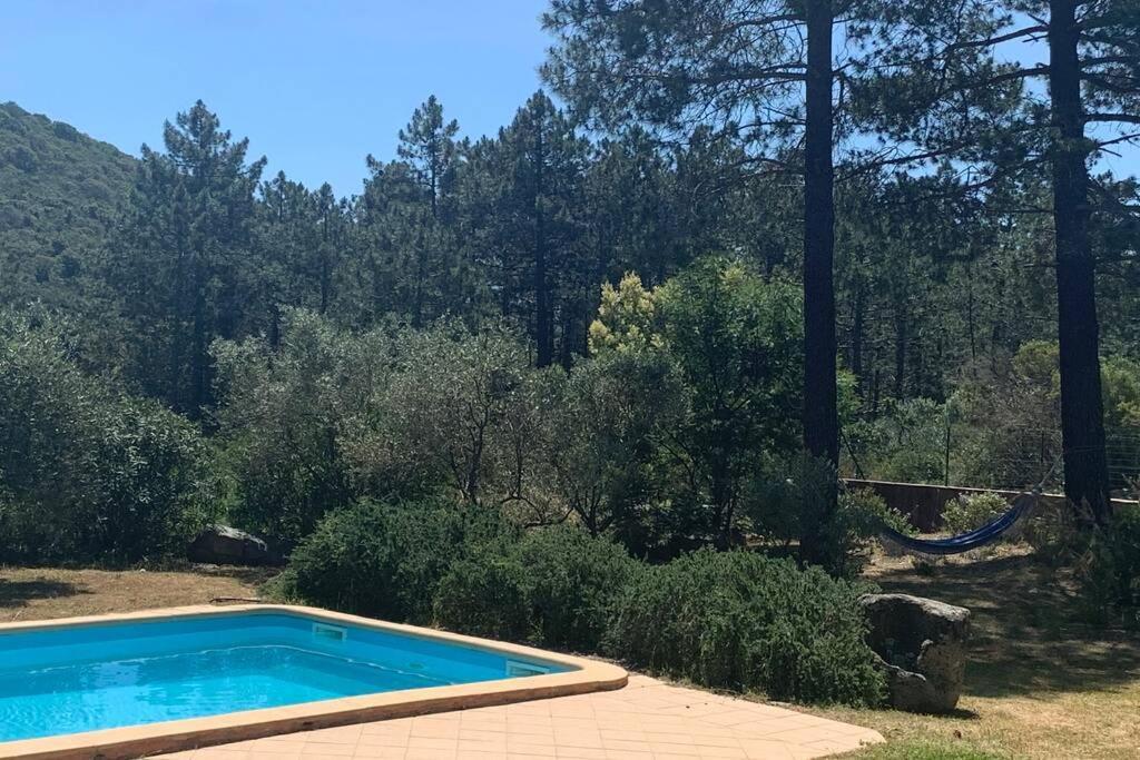 Belle Villa Piscine Avec Jardin A Santa Giulia Porto Vecchio Porto-Vecchio (Corsica) Exteriér fotografie